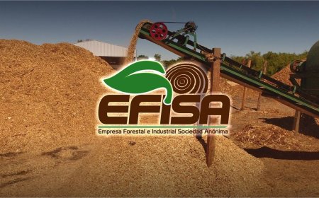 EFISA: Sustainable Innovation in the Forestry Industry