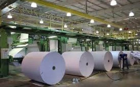 Exportación de celulosa brasileña para China es récord en 2023