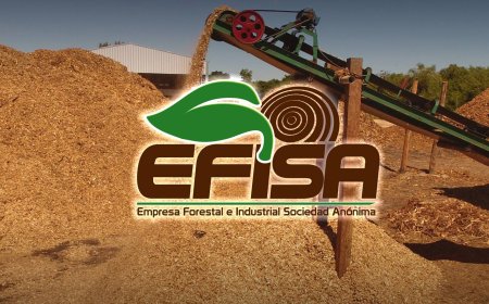 EFISA: Pioneros en la Revolución Verde del Sector Forestal en Paraguay